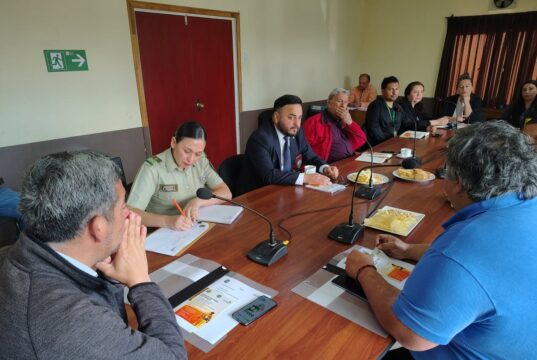 Freire finaliza su último consejo comunal de seguridad pública con foco en la prevención de incendios forestales