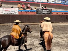 Con más de cuarenta colleras se desarrolló el rodeo aniversario en la medialuna de Pitrufquén