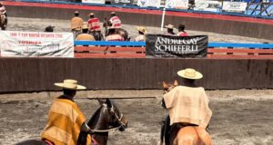 Con más de cuarenta colleras se desarrolló el rodeo aniversario en la medialuna de Pitrufquén