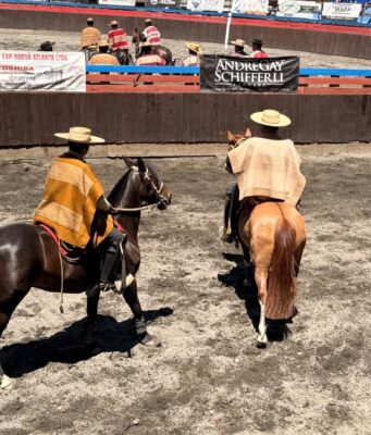 Con más de cuarenta colleras se desarrolló el rodeo aniversario en la medialuna de Pitrufquén