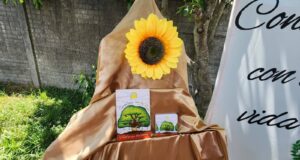 Estudiantes de Pitrufquén dan vida al primer libro comunal de salud mental y prevención del suicidio