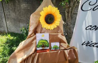 Estudiantes de Pitrufquén dan vida al primer libro comunal de salud mental y prevención del suicidio