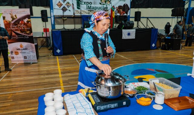 Fiestas navideñas y la primera expo mapuche marcaron el fin de semana en Freire