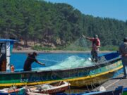 Gobierno de La Araucanía presenta avances de planes territoriales en costa Araucanía y entre Los Andes y Nahuelbuta