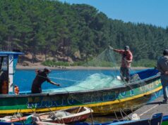 Gobierno de La Araucanía presenta avances de planes territoriales en costa Araucanía y entre Los Andes y Nahuelbuta