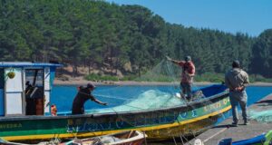 Gobierno de La Araucanía presenta avances de planes territoriales en costa Araucanía y entre Los Andes y Nahuelbuta