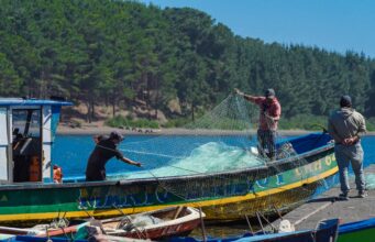 Gobierno de La Araucanía presenta avances de planes territoriales en costa Araucanía y entre Los Andes y Nahuelbuta