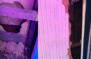 Robo nocturno afecta a comercio céntrico y genera preocupación por la seguridad en Gorbea