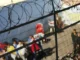 A presidio perpetuo fue sentenciado hombre que asesinó a su madre y escondió cuerpo en basurero en Collipulli