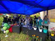 Pitrufquén celebra su aniversario número 127 con auge al talento local y la participación ciudadana