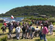 Dos semanas de entretenida acción lleva en Pucón la Escuela de Verano 2026