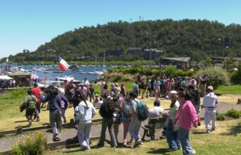 Dos semanas de entretenida acción lleva en Pucón la Escuela de Verano 2026