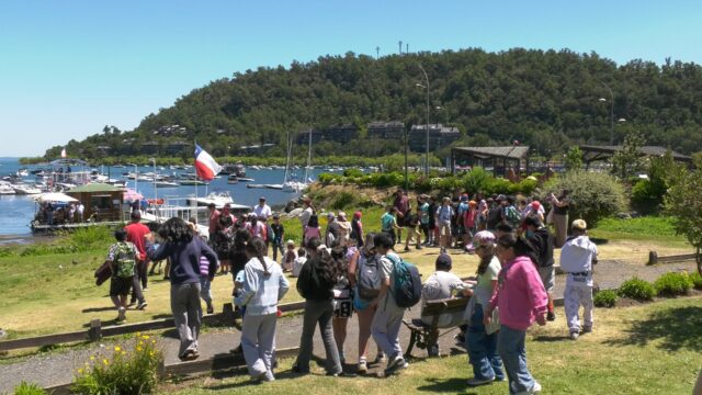 Dos semanas de entretenida acción lleva en Pucón la Escuela de Verano 2026