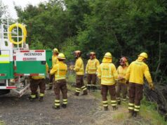 Equipos de emergencia de Pucón se prepararon para altísimas temperaturas del fin de semana