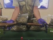 Operativo deja seis detenidos y decomiso de más de 32 kilos de marihuana en Padre Las Casas