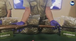 Operativo deja seis detenidos y decomiso de más de 32 kilos de marihuana en Padre Las Casas