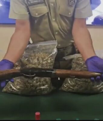 Operativo deja seis detenidos y decomiso de más de 32 kilos de marihuana en Padre Las Casas
