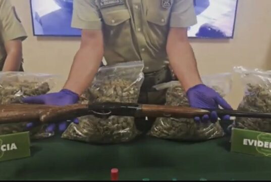 Operativo deja seis detenidos y decomiso de más de 32 kilos de marihuana en Padre Las Casas