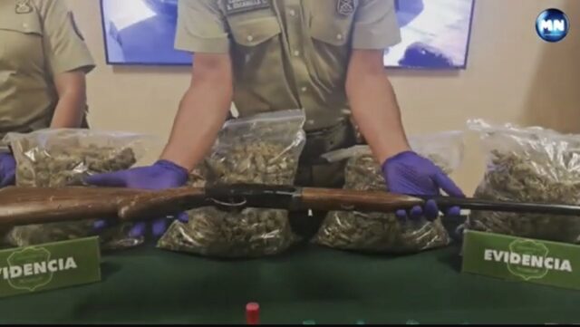 Operativo deja seis detenidos y decomiso de más de 32 kilos de marihuana en Padre Las Casas
