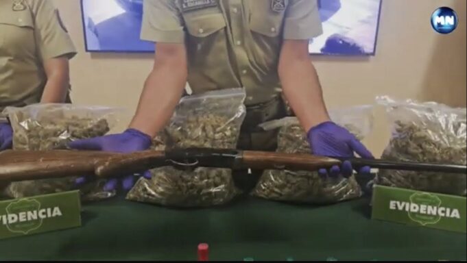 Operativo deja seis detenidos y decomiso de más de 32 kilos de marihuana en Padre Las Casas