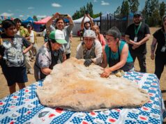 Exitosa 5ª Feria Costumbrista Kayu Lof reunió a cientos de familias en el territorio de Quetroco