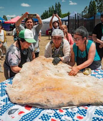 Exitosa 5ª Feria Costumbrista Kayu Lof reunió a cientos de familias en el territorio de Quetroco