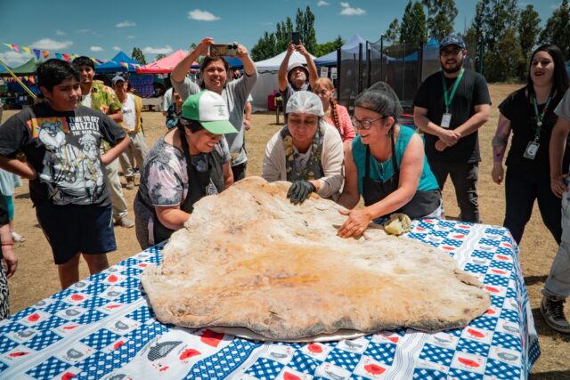 Exitosa 5ª Feria Costumbrista Kayu Lof reunió a cientos de familias en el territorio de Quetroco