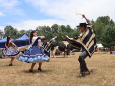 Comenzó la tradicional muestra campesina en parque municipal de Villarrica