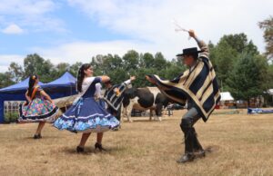 Comenzó la tradicional muestra campesina en parque municipal de Villarrica