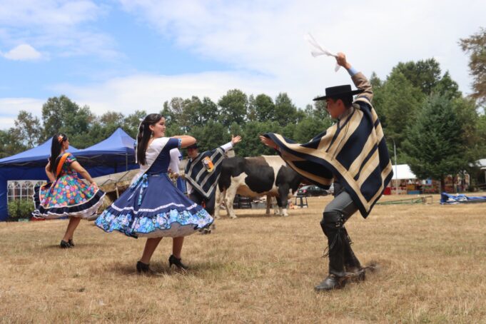 Comenzó la tradicional muestra campesina en parque municipal de Villarrica