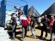 Municipio de Cholchol entrega más de 5 toneladas de alimento animal a familias afectadas por incendios forestales