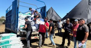 Municipio de Cholchol entrega más de 5 toneladas de alimento animal a familias afectadas por incendios forestales