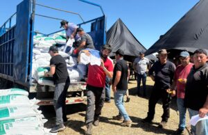 Municipio de Cholchol entrega más de 5 toneladas de alimento animal a familias afectadas por incendios forestales