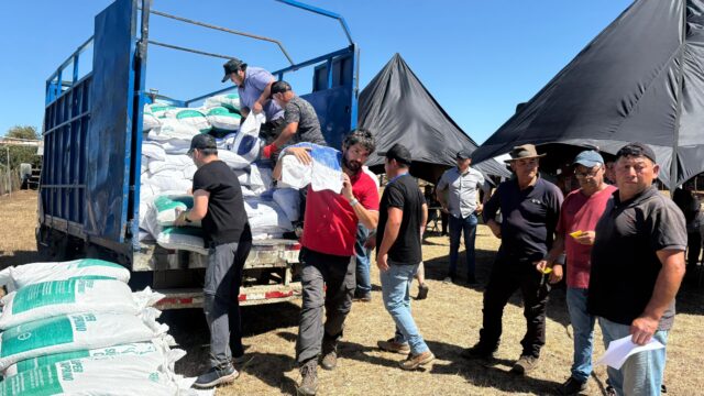 Municipio de Cholchol entrega más de 5 toneladas de alimento animal a familias afectadas por incendios forestales