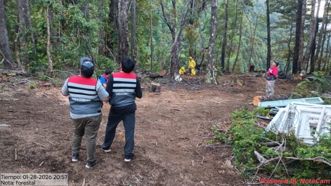 Incendio en sector El Cerdúo en Pucón: Drones confirman que mantiene algunos “puntos calientes”