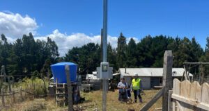 Siete familias de Isla Huapi tendrán conexión eléctrica gracias a plan preventivo impulsado por Frontel