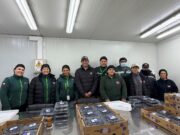 SAG certifica envío de arándanos frescos desde Gorbea a mercados del mundo