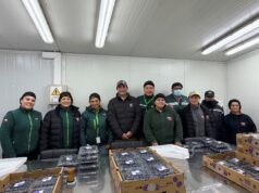 SAG certifica envío de arándanos frescos desde Gorbea a mercados del mundo