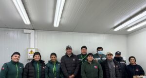 SAG certifica envío de arándanos frescos desde Gorbea a mercados del mundo