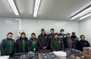 SAG certifica envío de arándanos frescos desde Gorbea a mercados del mundo
