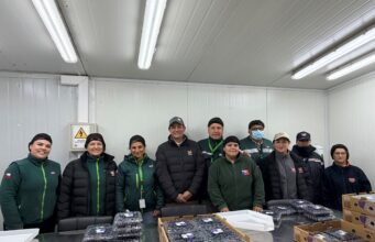 SAG certifica envío de arándanos frescos desde Gorbea a mercados del mundo