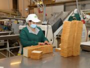 La Araucanía disminuye su tasa de desempleo y avanzó en empleo formal durante la época primaveral