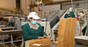 La Araucanía disminuye su tasa de desempleo y avanzó en empleo formal durante la época primaveral