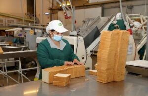 La Araucanía disminuye su tasa de desempleo y avanzó en empleo formal durante la época primaveral