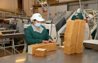 La Araucanía disminuye su tasa de desempleo y avanzó en empleo formal durante la época primaveral