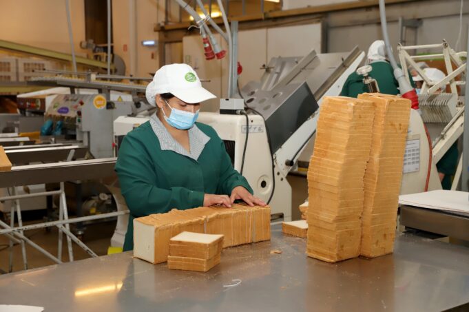 La Araucanía disminuye su tasa de desempleo y avanzó en empleo formal durante la época primaveral