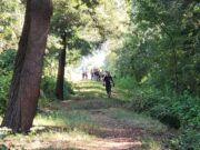 Encuentran cadáver de hombre en canal de regadío del sector Alameda Oriente en Freire