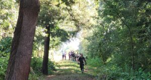 Encuentran cadáver de hombre en canal de regadío del sector Alameda Oriente en Freire