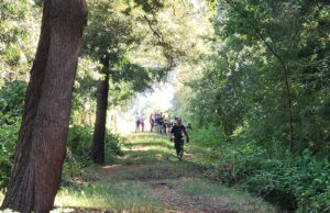 Encuentran cadáver de hombre en canal de regadío del sector Alameda Oriente en Freire