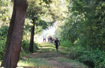 Encuentran cadáver de hombre en canal de regadío del sector Alameda Oriente en Freire